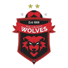 Wollongong Wolves